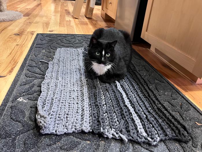 daughter-crocheted from t-shirt yarn remnants 