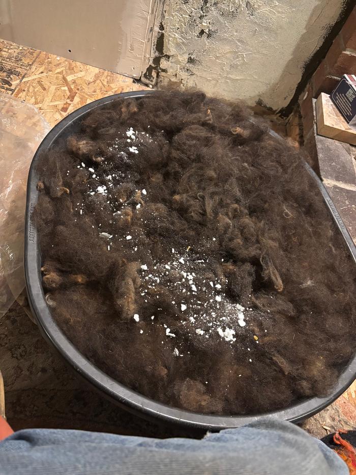 [Thumbnail for IMG_3940.jpeg]