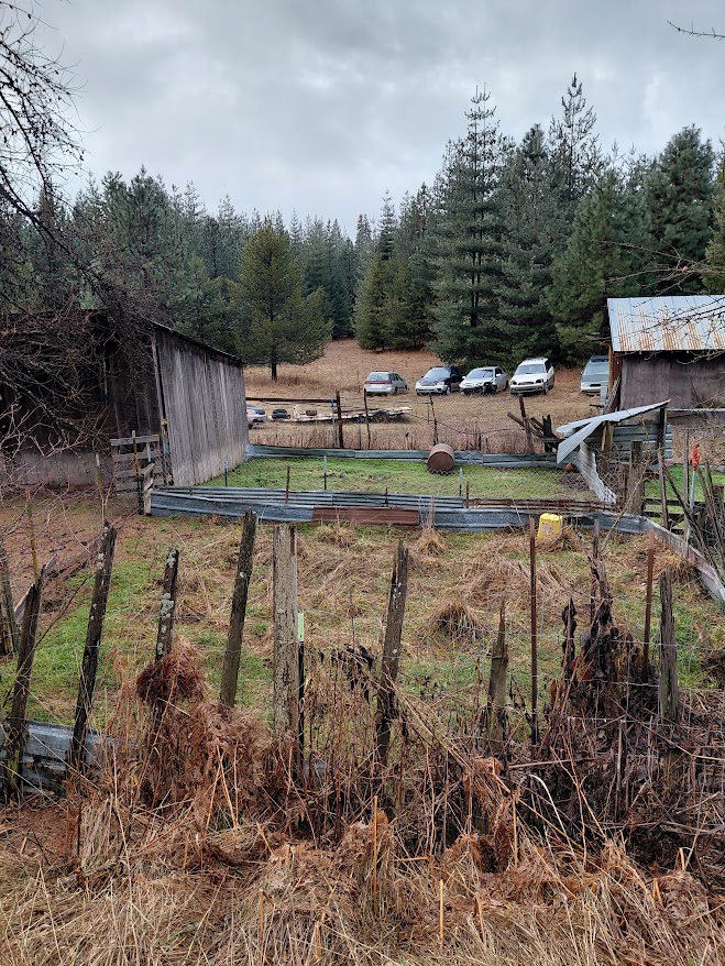 [Thumbnail for 20260208_111806.jpg]