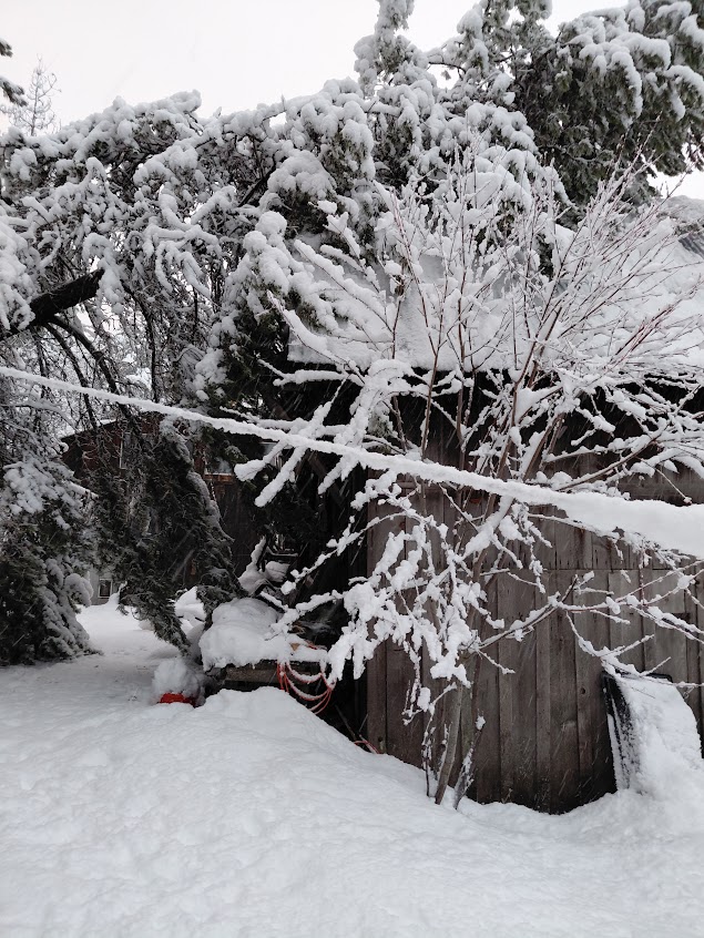 [Thumbnail for 20260314_080334.jpg]