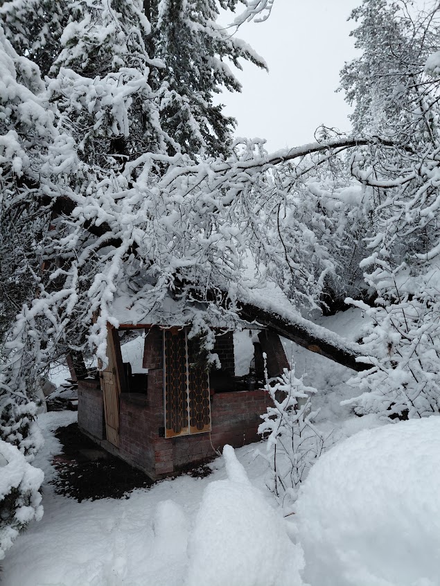 [Thumbnail for 20260314_080443.jpg]