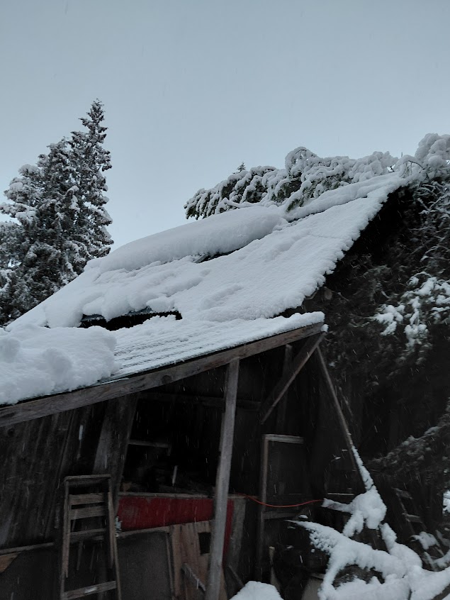 [Thumbnail for 20260314_080456.jpg]