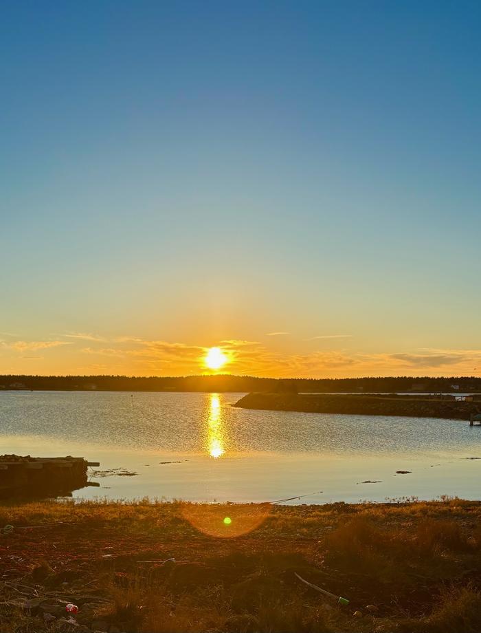 [Thumbnail for RLCD5683.JPG]