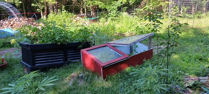 [Thumbnail for black-hugel-planter.red-coldframe.jpg]
