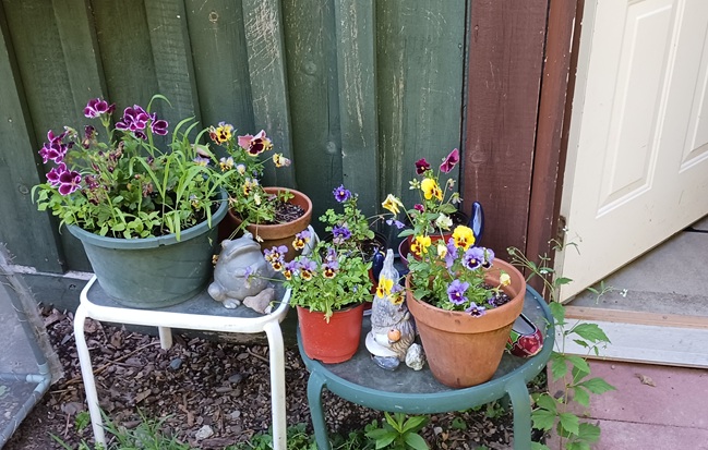 [Thumbnail for near-front-door.jpg]