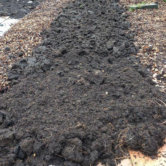 [Thumbnail for WhatsApp-Image-2026-02-12-at-23.02.39.jpeg]