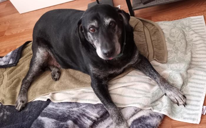 [Thumbnail for 20260214_135518.jpg]