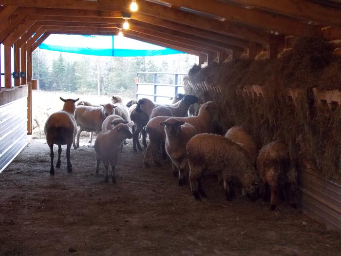 [Thumbnail for DSCN3772.JPG]