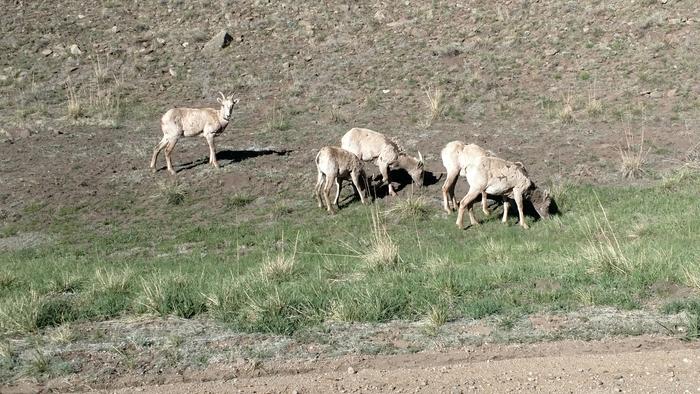 [Thumbnail for IMG_20210525_070704130.jpg]