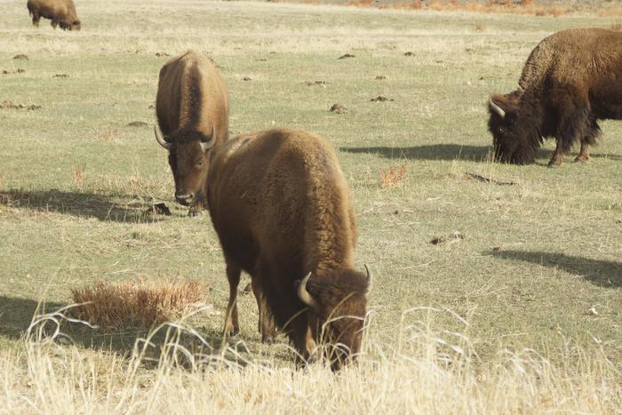 [Thumbnail for DSC02264.JPG]