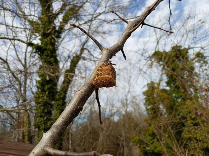 [Thumbnail for IMG_20260218_134648_645.jpg]