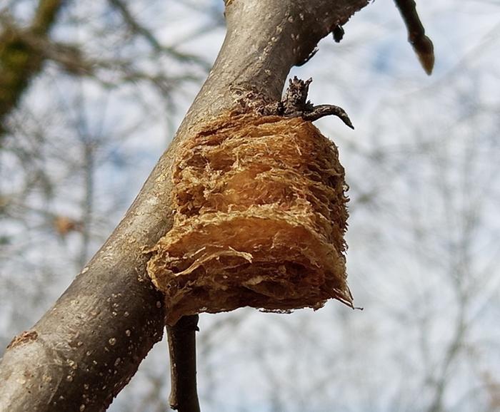 [Thumbnail for IMG_20260218_134648_645-2.jpg]