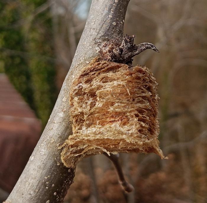 [Thumbnail for IMG_20260218_134627_984-2.jpg]