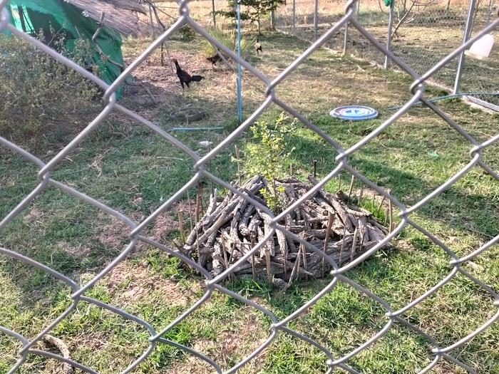 [Thumbnail for IMG20260219162110-1-.jpg]