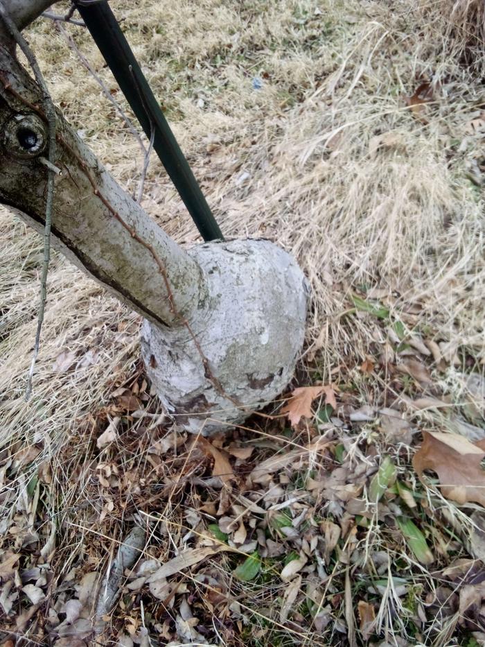 [Thumbnail for 2.jpg]