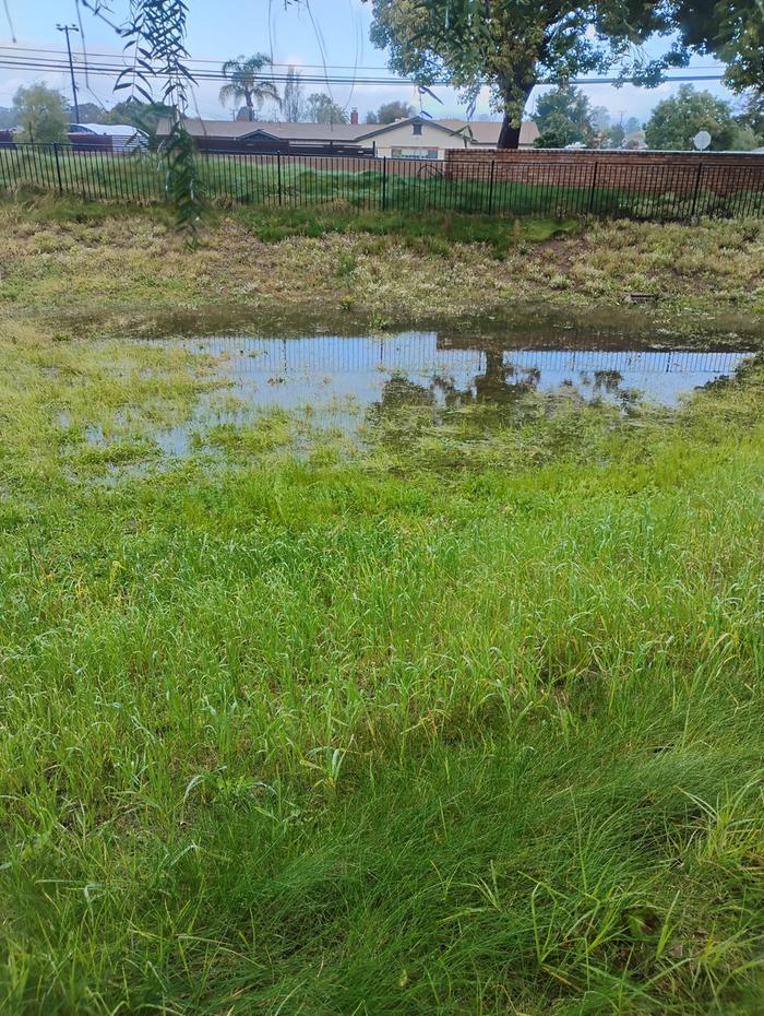 [Thumbnail for IMG_20260219_084220346_HDR.jpg]