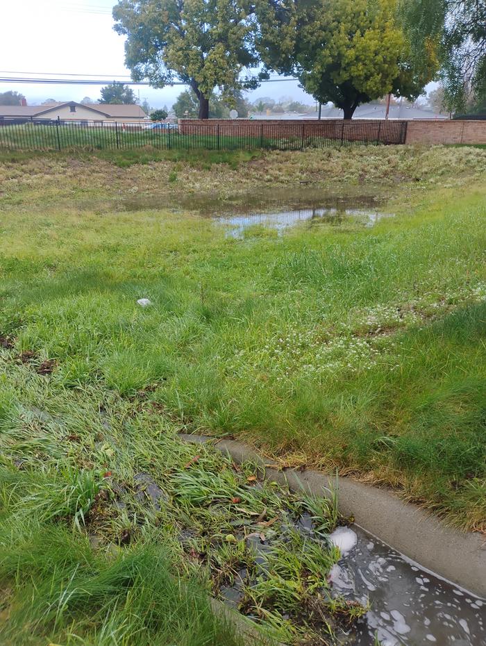 [Thumbnail for IMG_20260219_084204442_HDR.jpg]