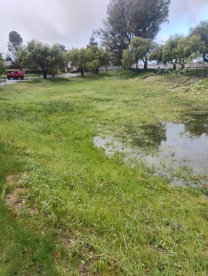 [Thumbnail for IMG_20260219_084308521_HDR.jpg]