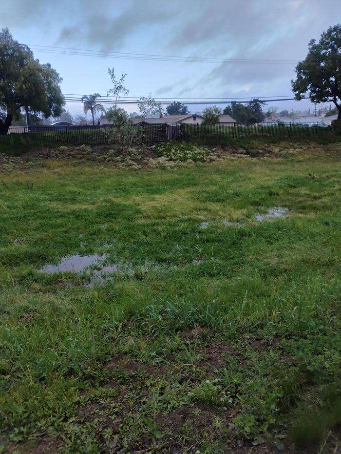 [Thumbnail for IMG_20260219_084109413_HDR.jpg]