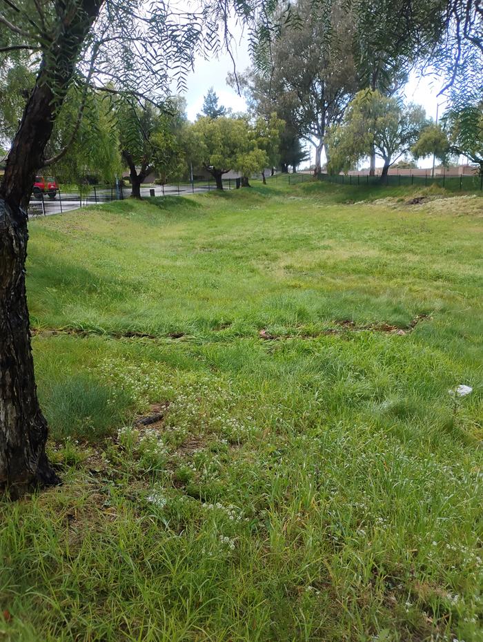 [Thumbnail for IMG_20260219_084231627_HDR.jpg]