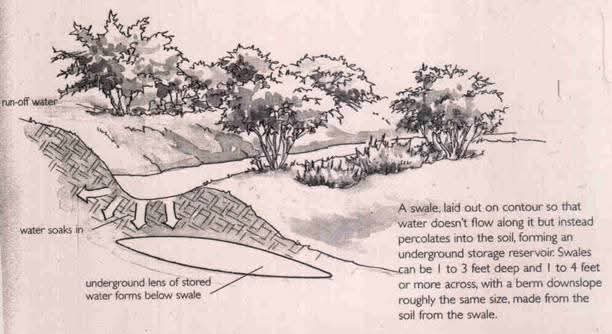 [Thumbnail for FB_IMG_1771496134486.jpg]