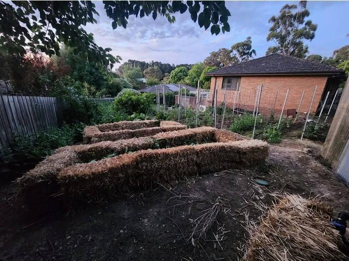 [Thumbnail for FB_IMG_1771496145751.jpg]