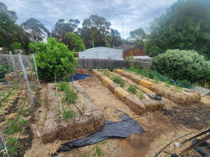 [Thumbnail for FB_IMG_1771496156703.jpg]