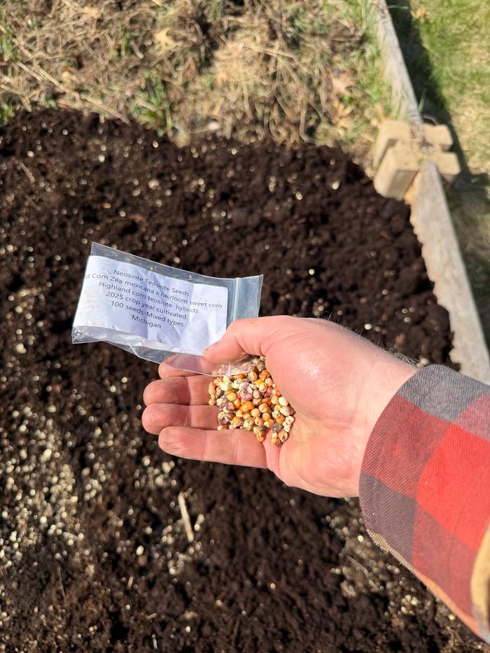 Planting day