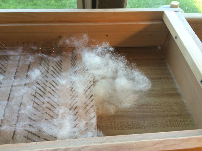 Picked wool ready to be combed or carded