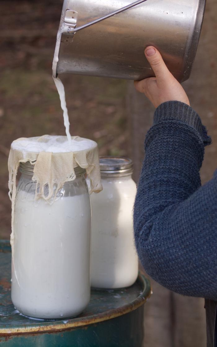[Thumbnail for _5149313-pouring-milk.jpg]