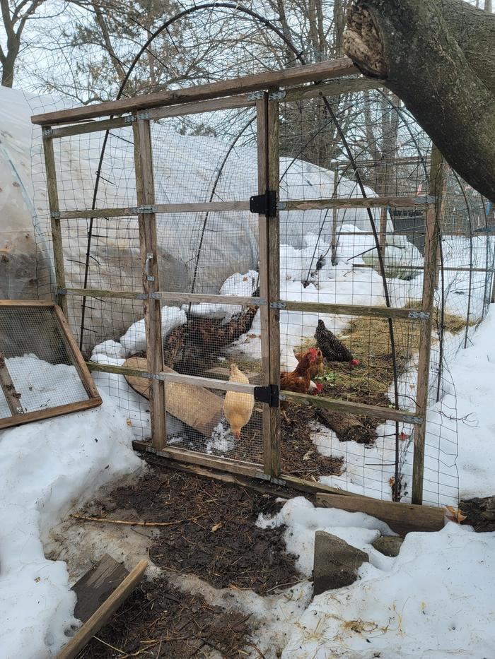 [Thumbnail for 20210228_154918.jpg]