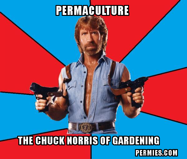 [Thumbnail for Chuck-Norris-Permaculture.jpg]