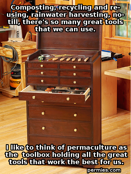 [Thumbnail for Wood-Toolbox-Permaculture.jpg]