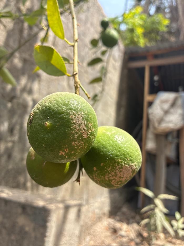 [Thumbnail for image.jpg]