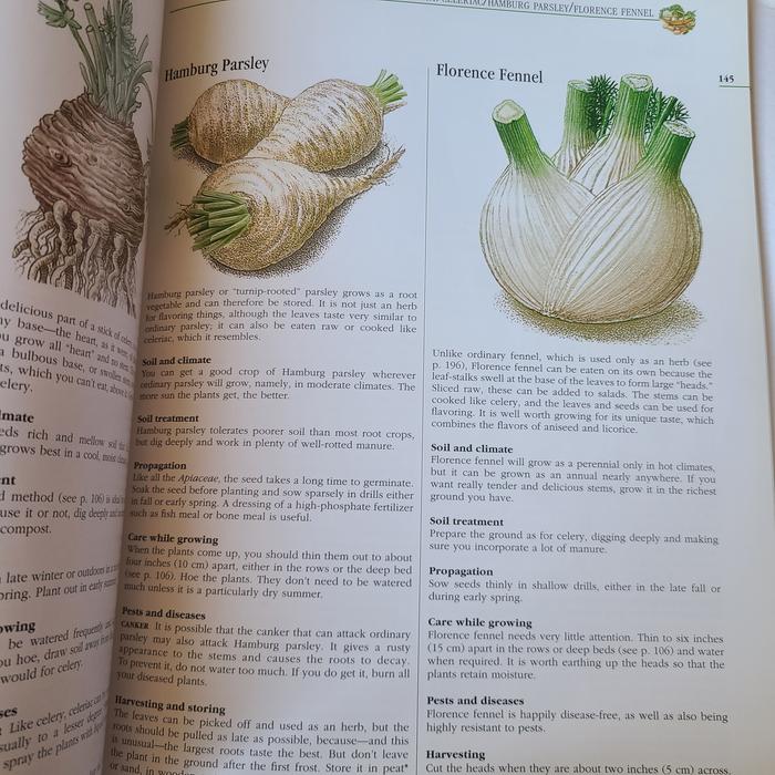 Example of information covered