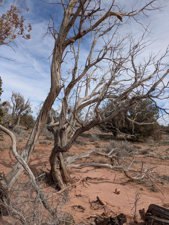 [Thumbnail for PXL_20260304_193113292.jpg]