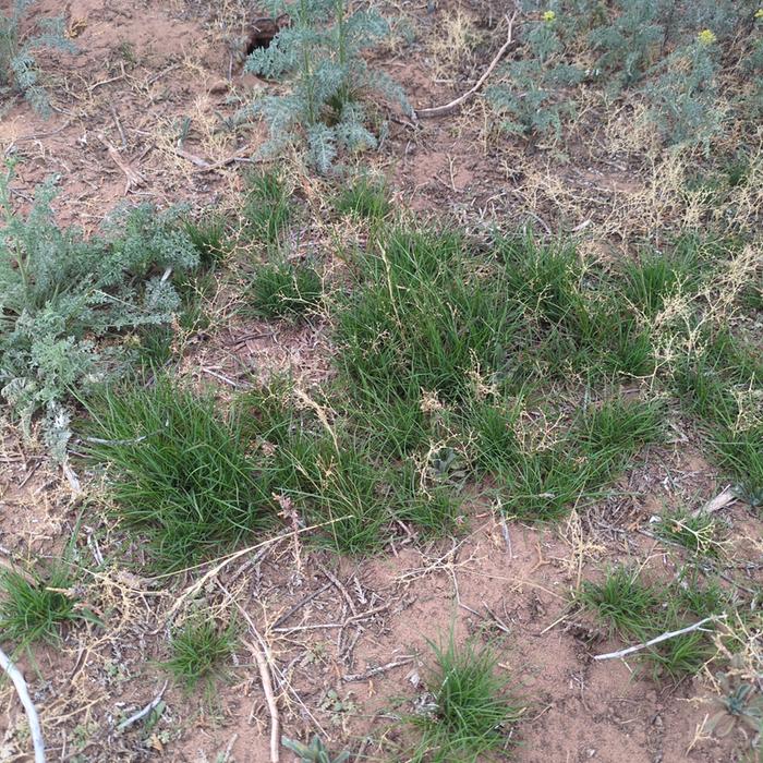 [Thumbnail for 20260314_150709.jpg]