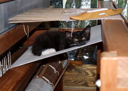 I also love my kitty cot.