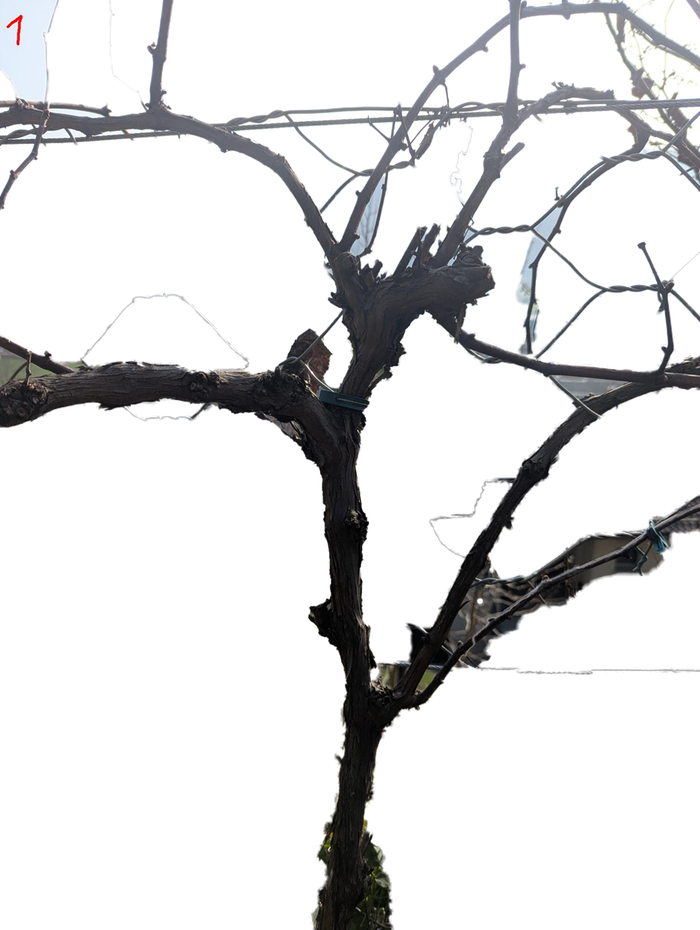 [Thumbnail for 1-1.png]