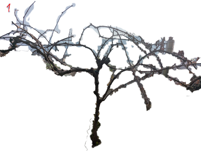 [Thumbnail for 1-2.png]