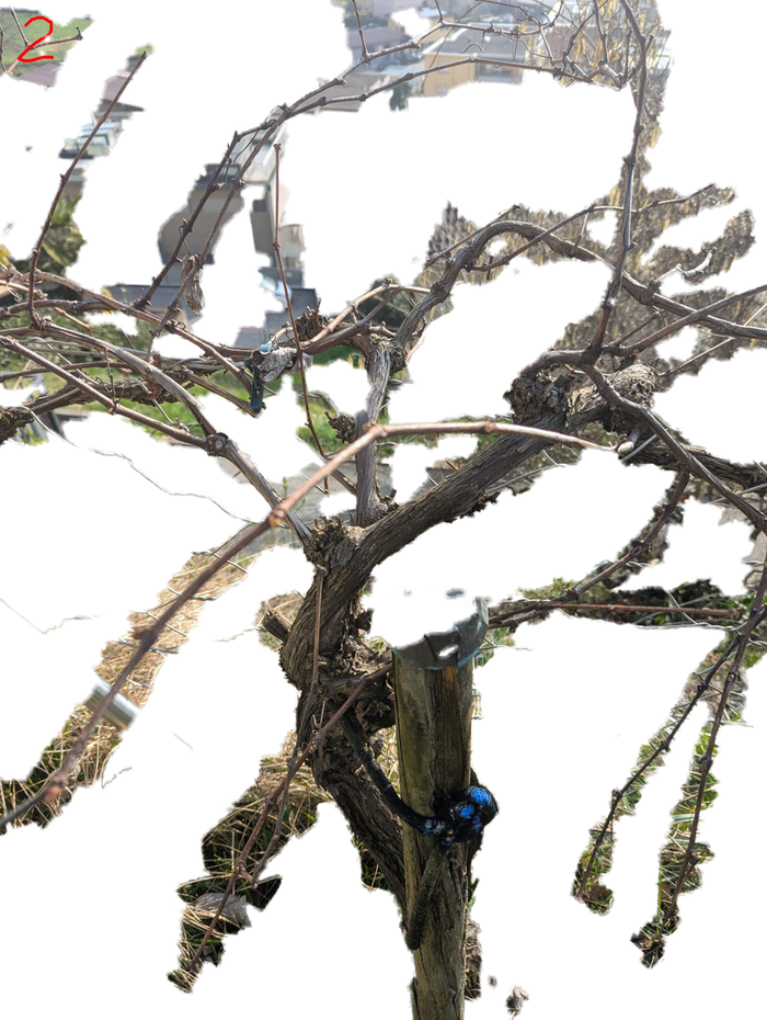 [Thumbnail for 2-1.png]