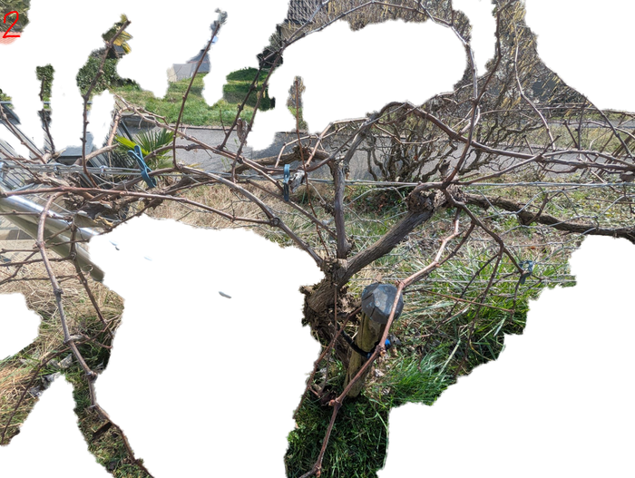 [Thumbnail for 2-3.png]