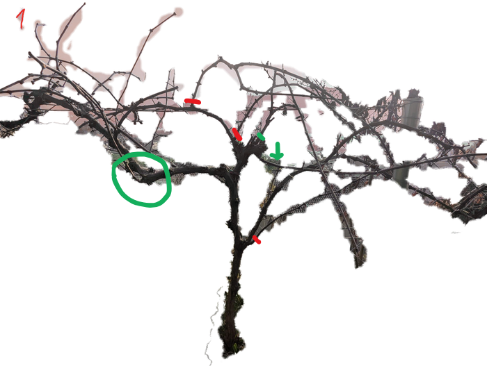 [Thumbnail for Untitled-design.png]