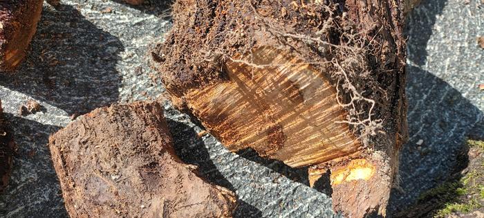 [Thumbnail for 20260306_143248.jpg]