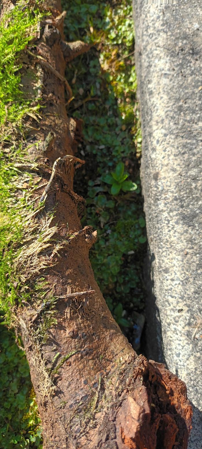 [Thumbnail for 20260306_143311.jpg]