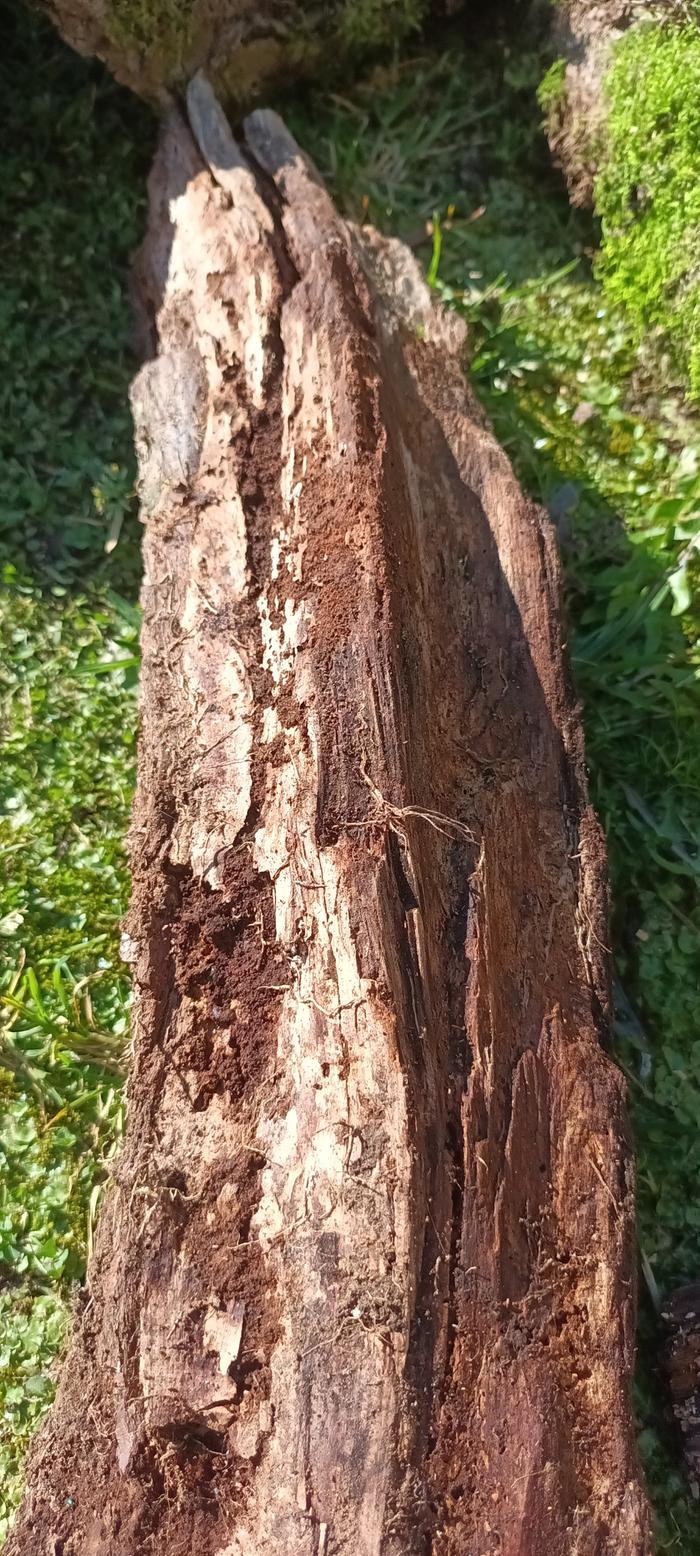 [Thumbnail for 20260306_143304.jpg]