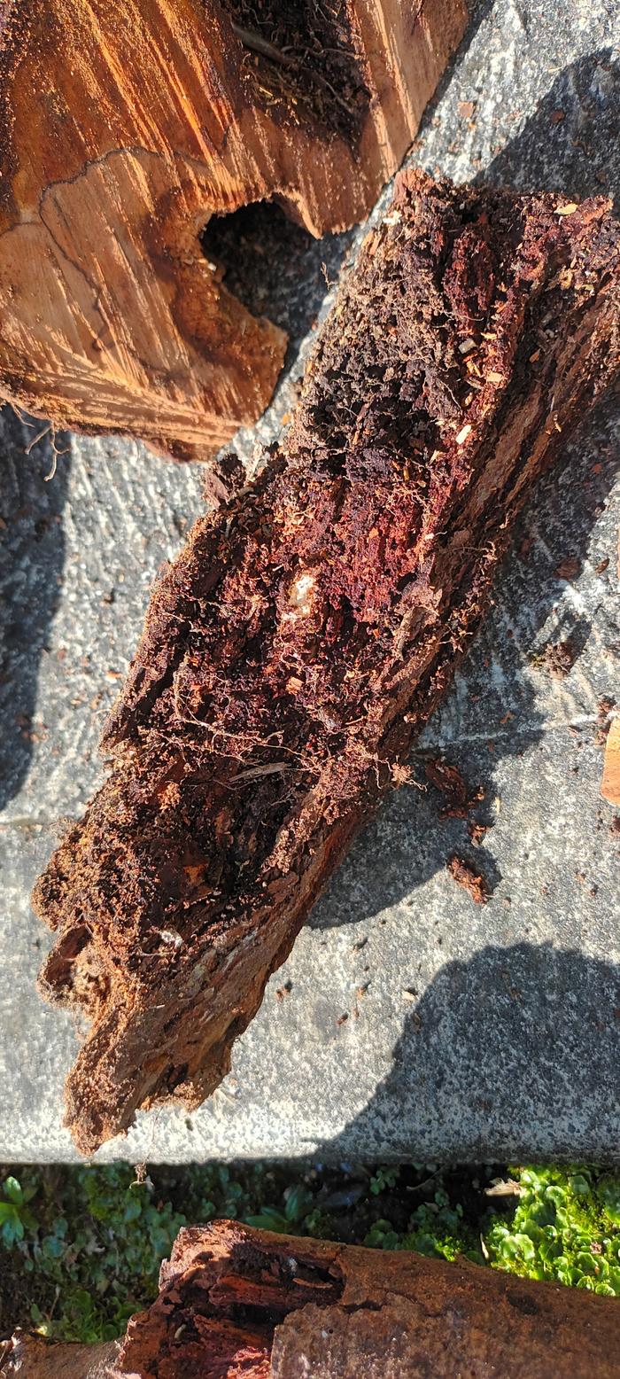 [Thumbnail for 20260306_143243.jpg]