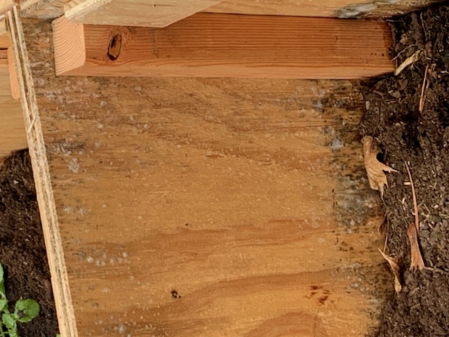 [Thumbnail for 1.jpg]