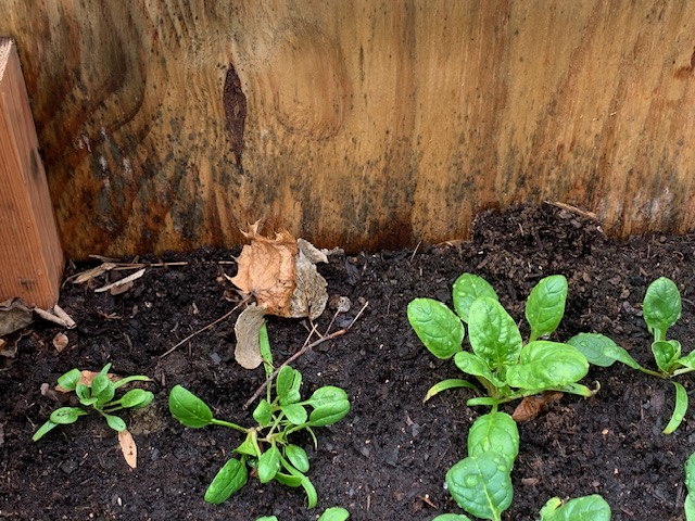 [Thumbnail for 2.jpg]