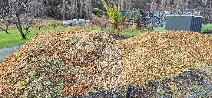Arborist's mulch